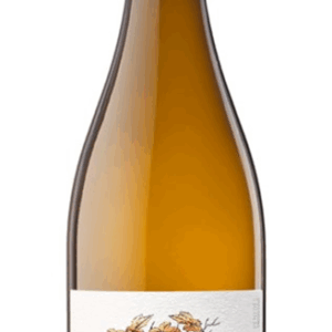 CELLER DE CREDO ALOERS