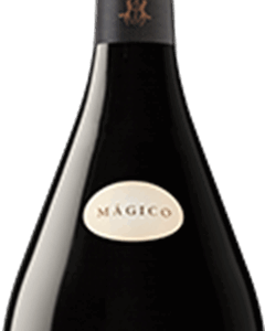 SIERRA CANTABRIA MAGIC 2020