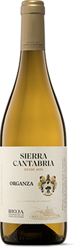 SIERRA CANTABRIA ORGANZA