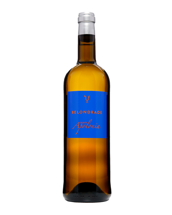 BELONDRADE QUINTA APOLONIA WINE