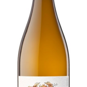 CELLER DE CREDO  ALOERS